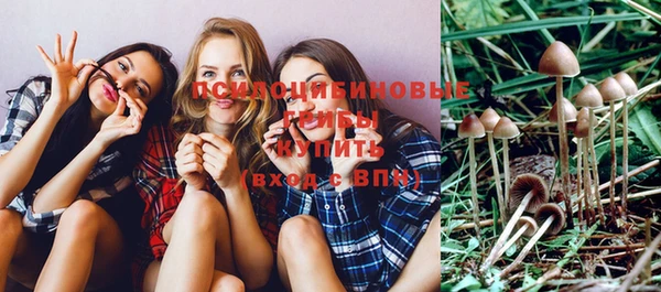 винт Новозыбков