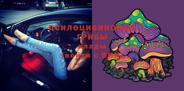 винт Новозыбков