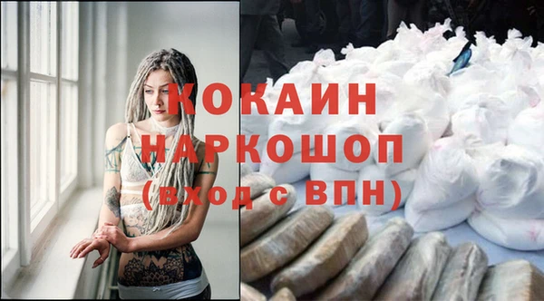 мяу мяу мука Новодвинск