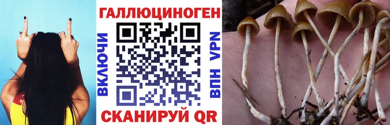 Псилоцибиновые грибы GOLDEN TEACHER  Костомукша 