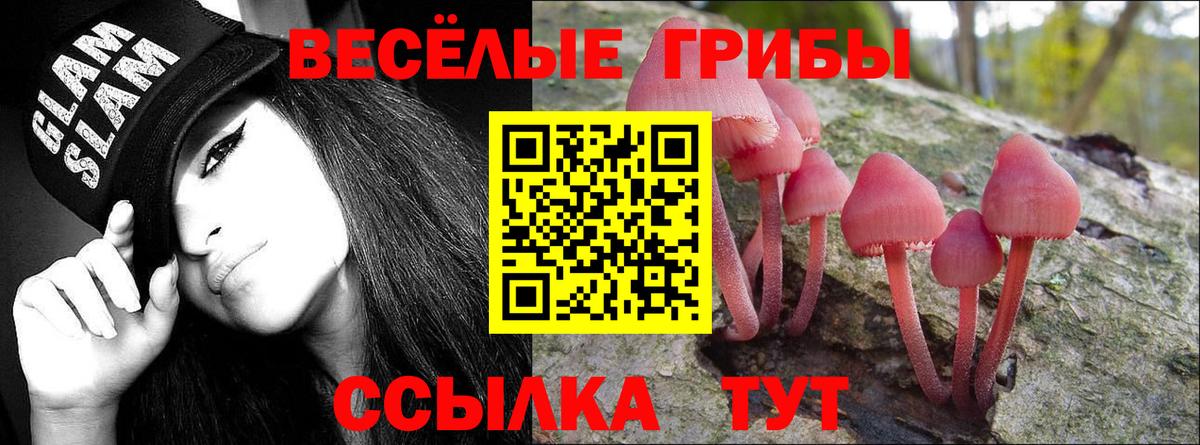 Костомукша  Галлюциногенные грибы MAGIC MUSHROOMS  Вход с VPN 